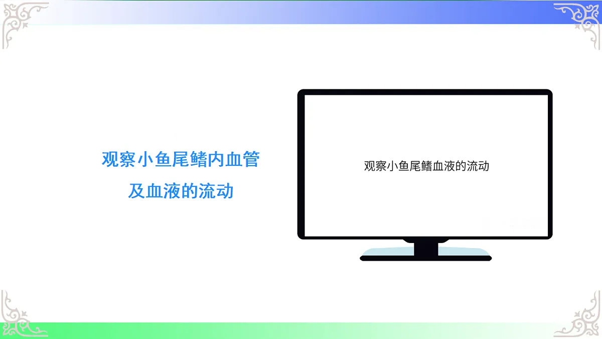 17810946第7页