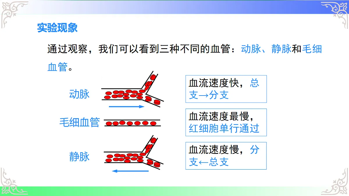17810946第8页