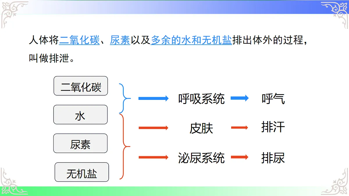 17810947第4页