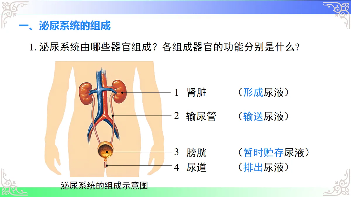 17810947第5页