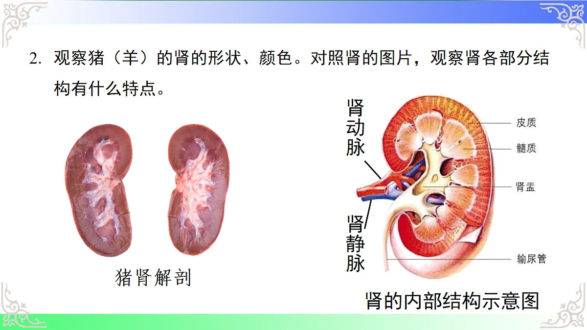 17810947第6页