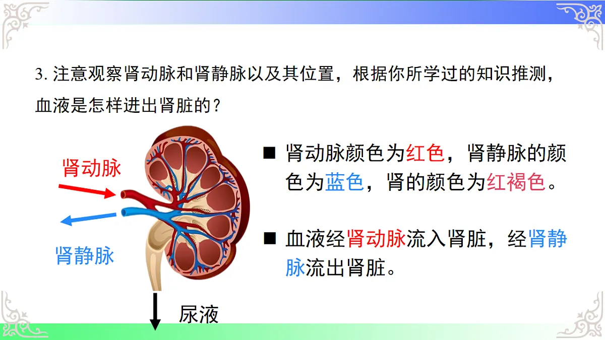 17810947第7页