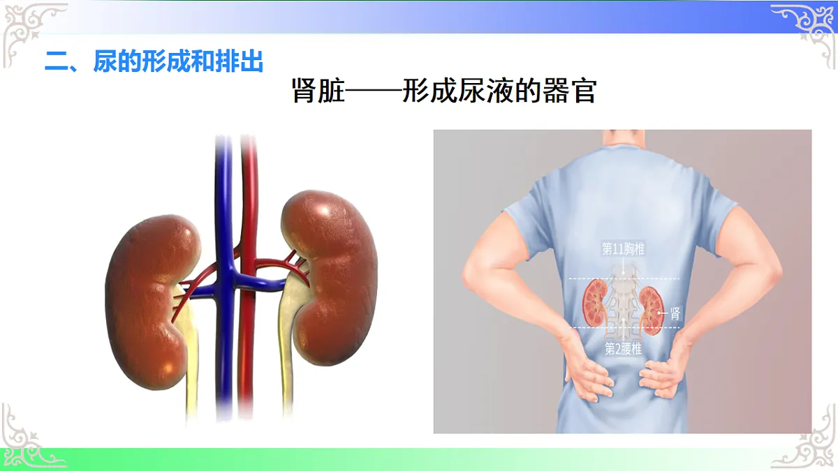 17810947第8页