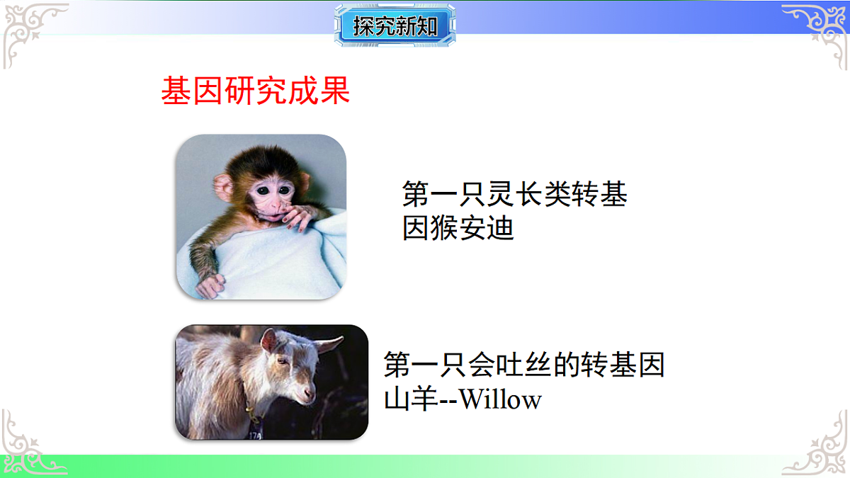 17810968第3页
