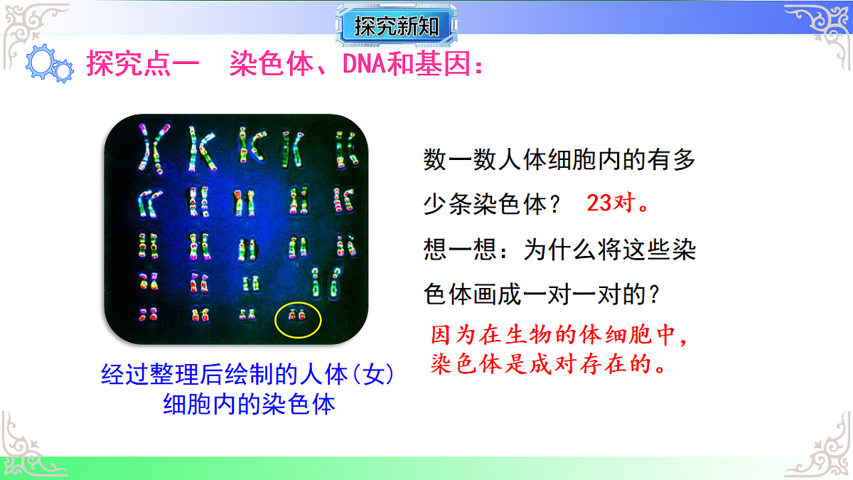 17810968第4页