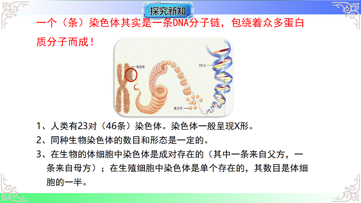 17810968第5页