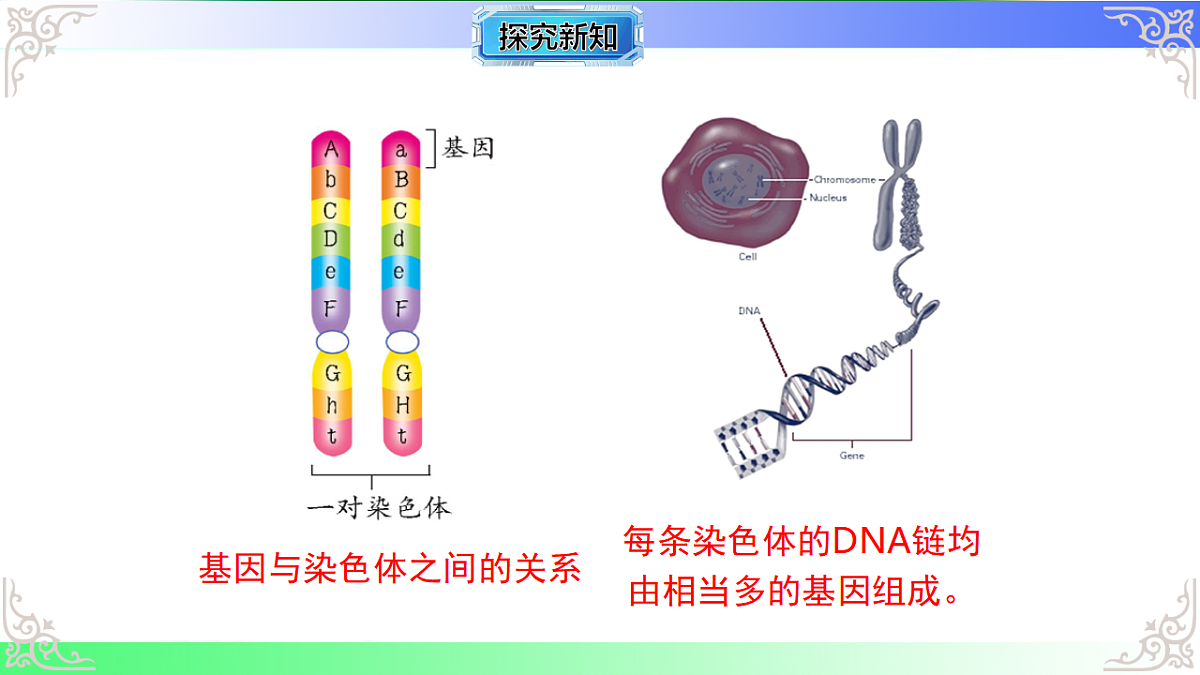 17810968第6页