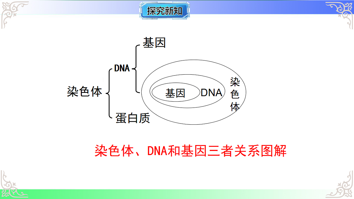 17810968第7页