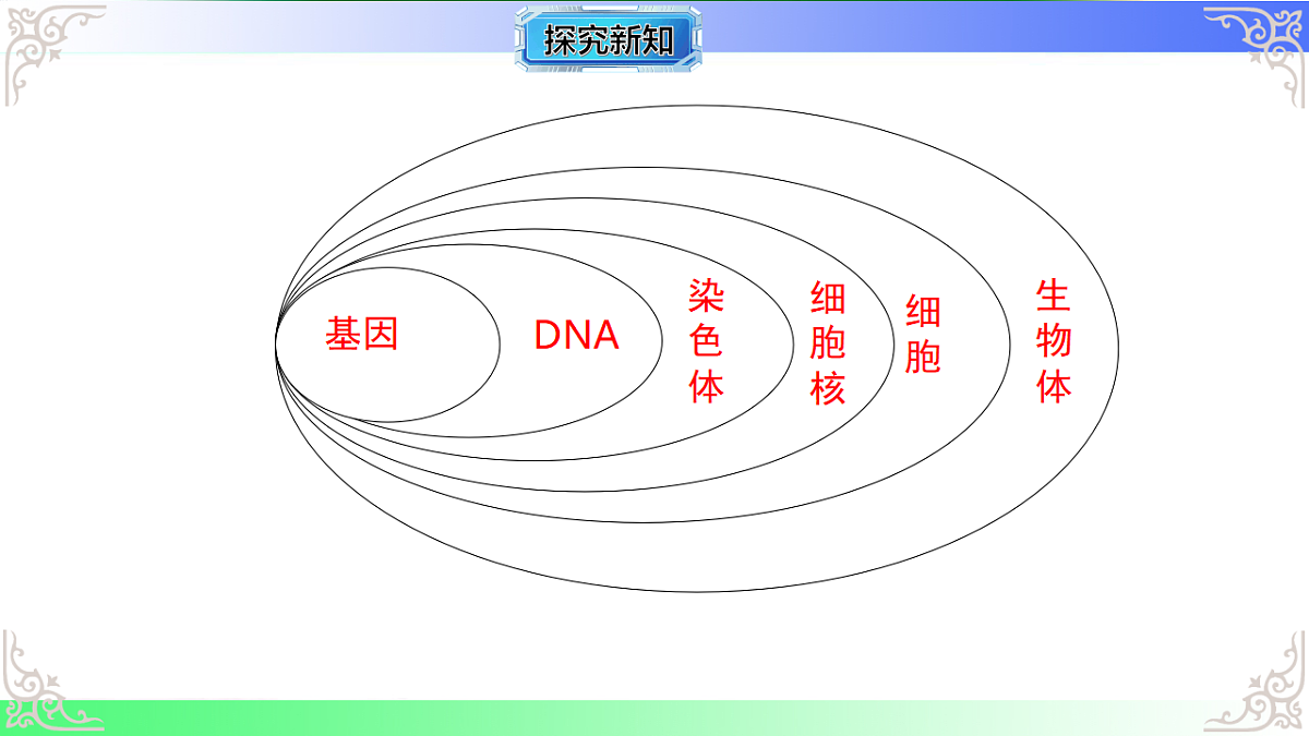 17810968第8页