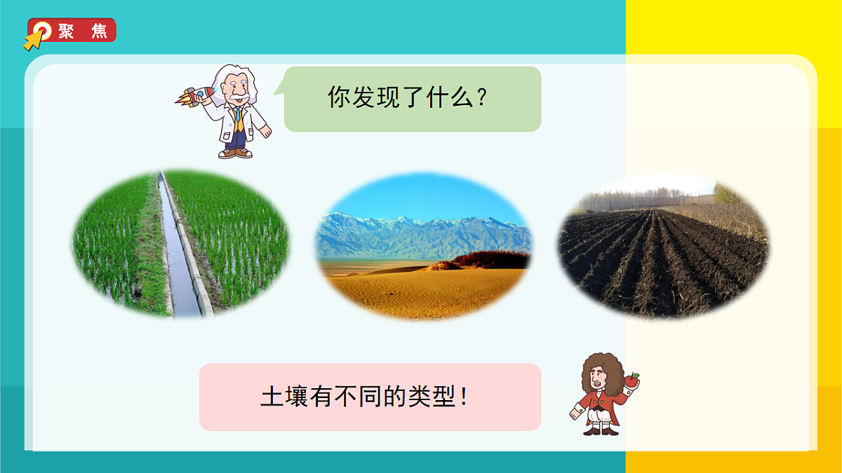 7.比较不同的土壤第2页
