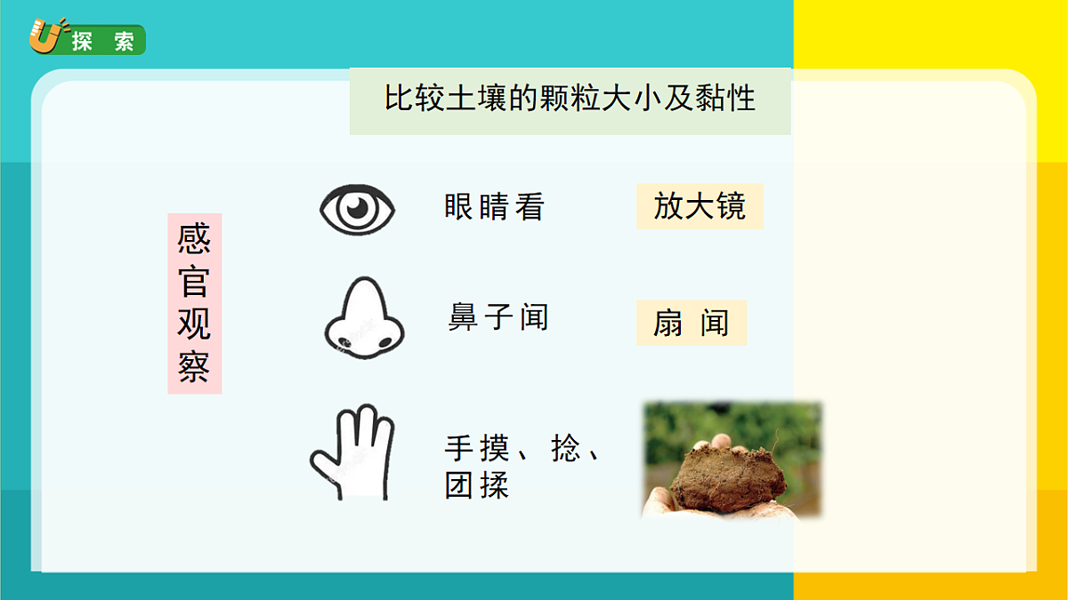 7.比较不同的土壤第4页