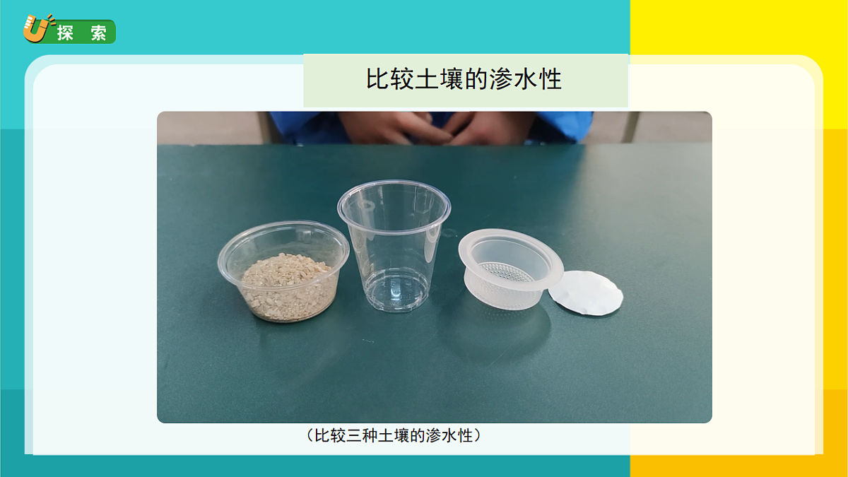 7.比较不同的土壤第7页