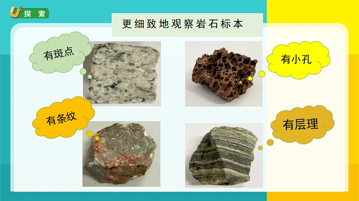 2.各种各样的岩石第5页