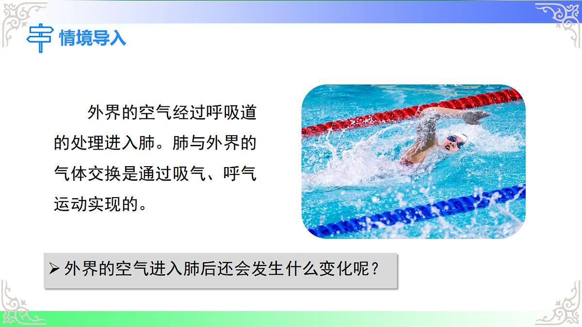 17814688第3页