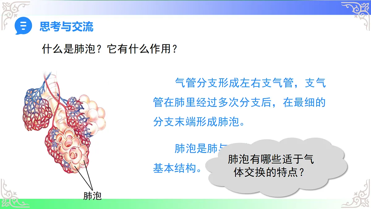 17814688第5页
