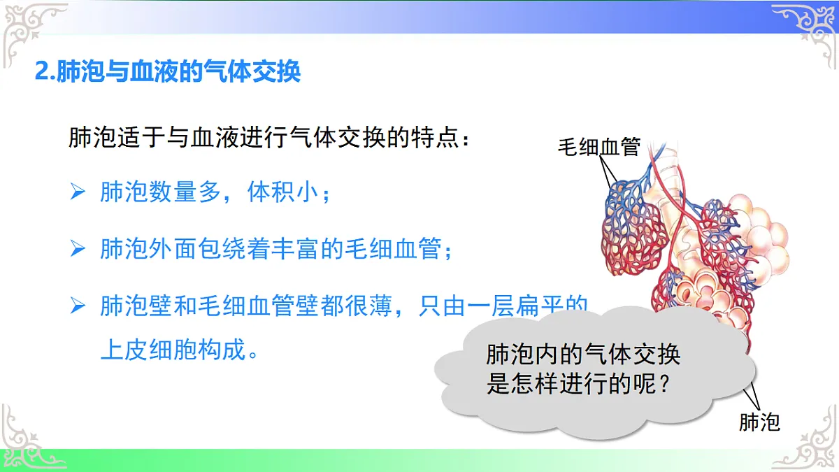 17814688第6页