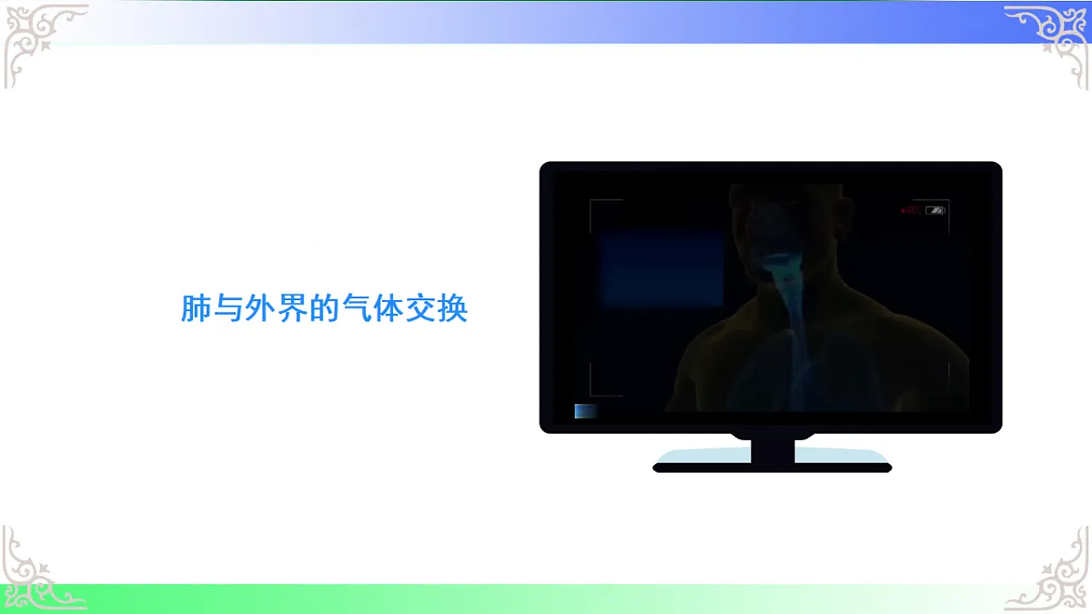 17814688第7页