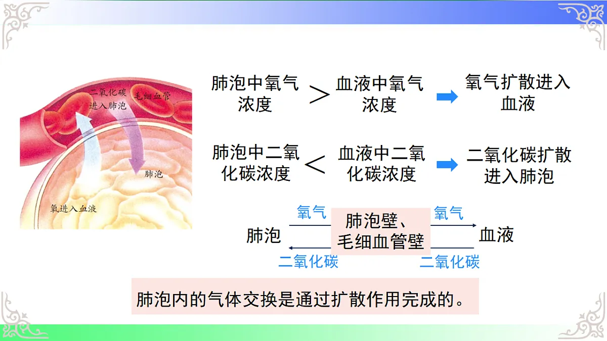 17814688第8页