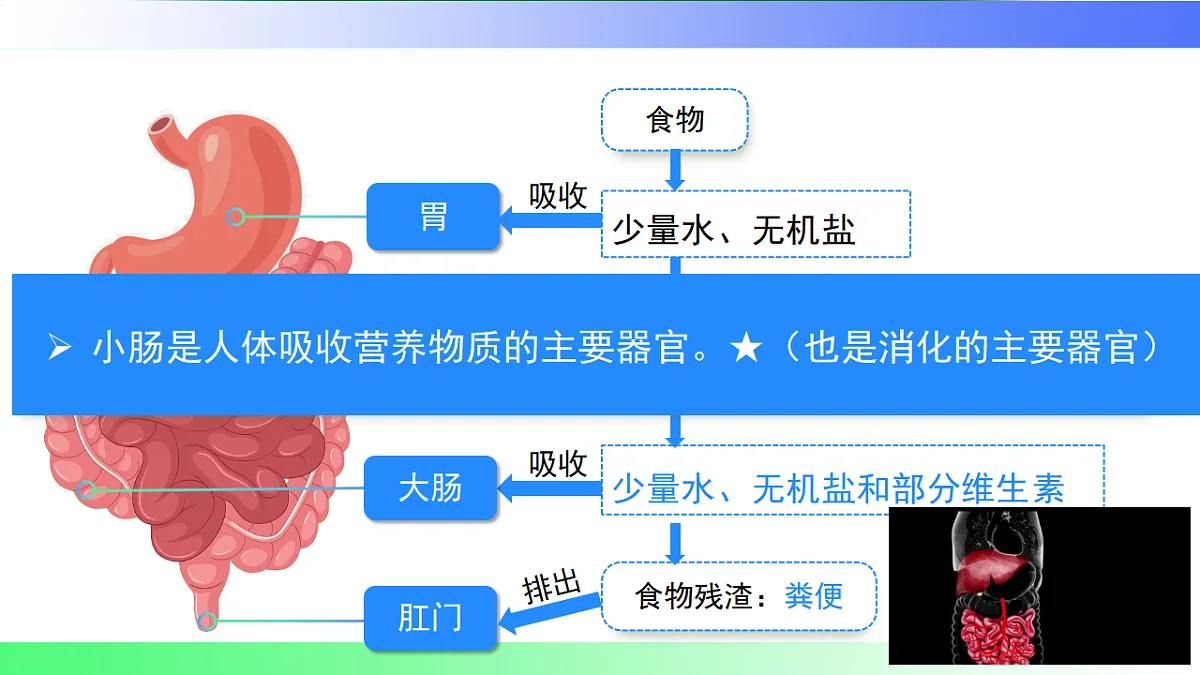 17814808第5页