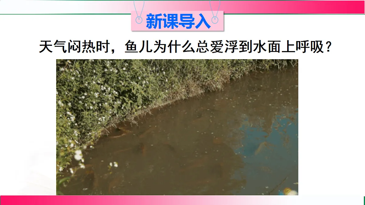 17814818第3页
