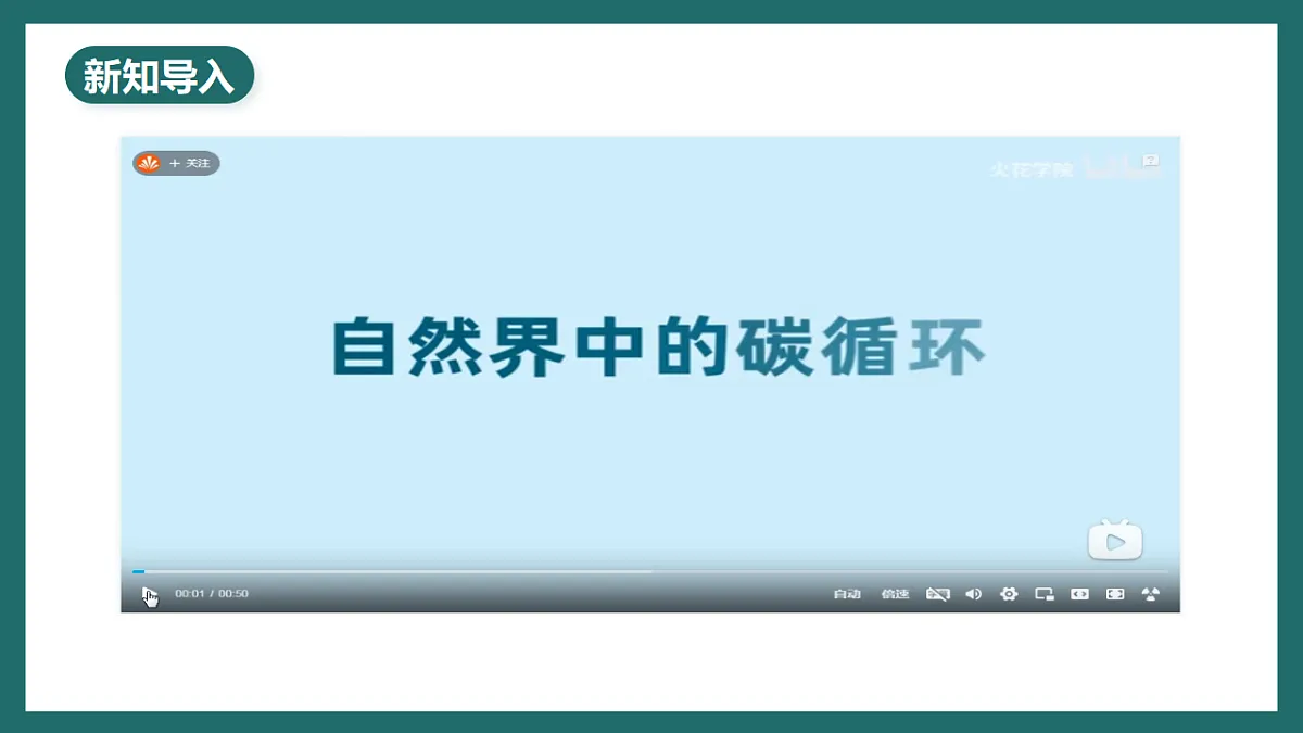 人教版(新课标)地理七下第十章 跨学科主题学习《探寻热带雨林的固碳功能》课件第3页