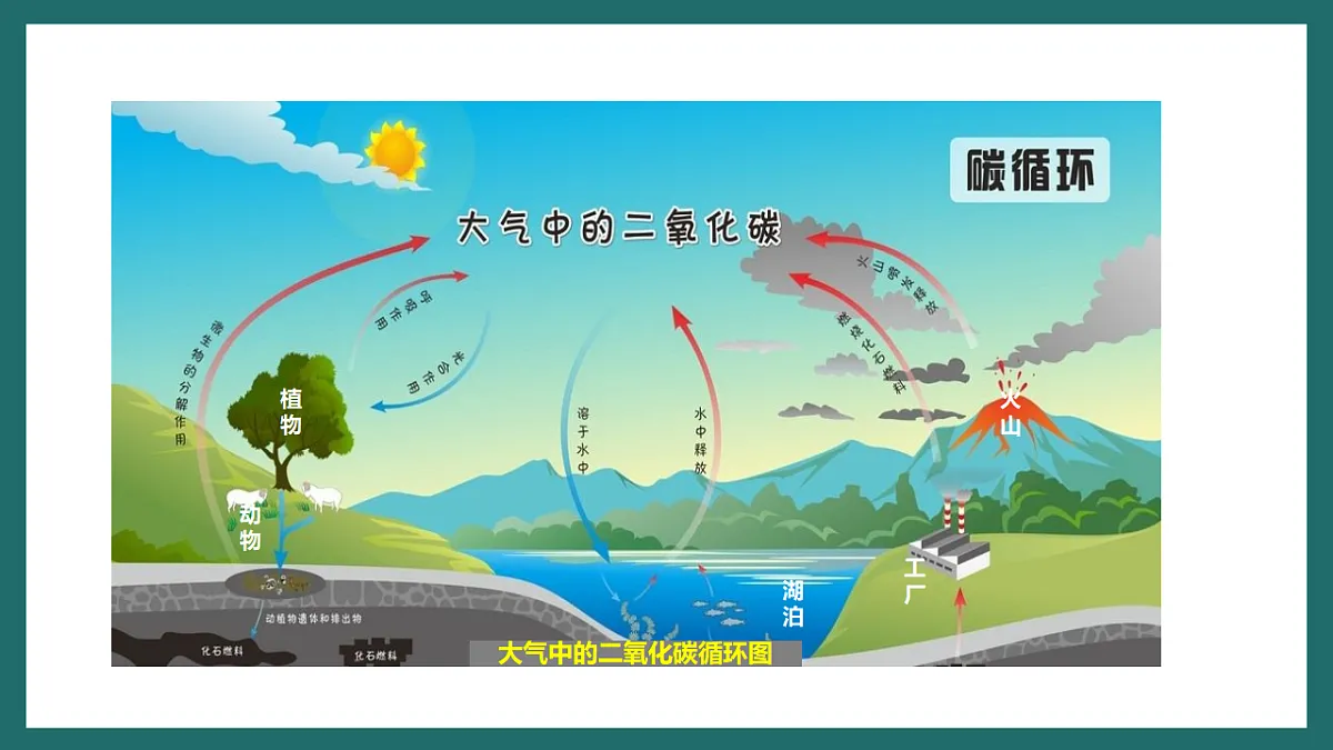 人教版(新课标)地理七下第十章 跨学科主题学习《探寻热带雨林的固碳功能》课件第4页
