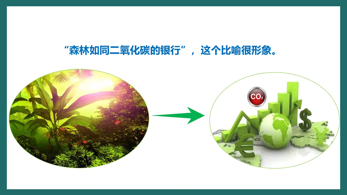 人教版(新课标)地理七下第十章 跨学科主题学习《探寻热带雨林的固碳功能》课件第5页