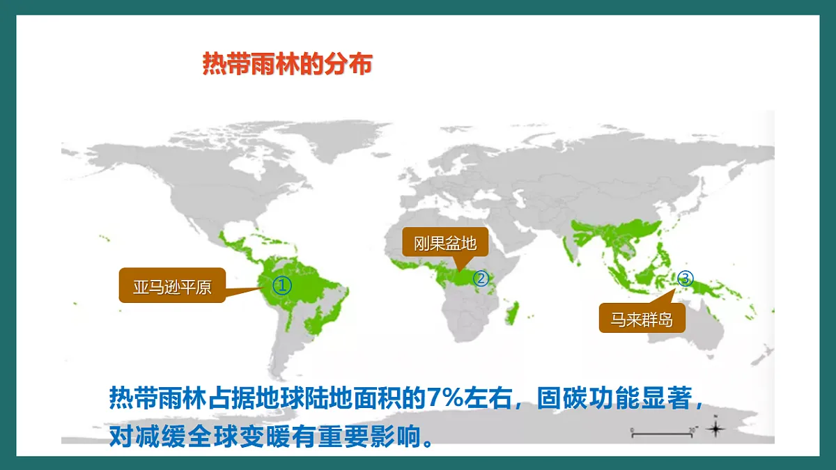 人教版(新课标)地理七下第十章 跨学科主题学习《探寻热带雨林的固碳功能》课件第7页