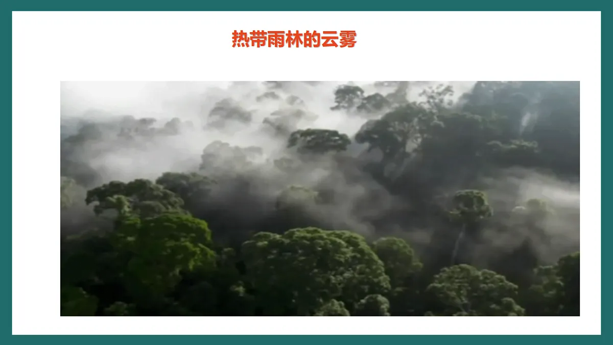 人教版(新课标)地理七下第十章 跨学科主题学习《探寻热带雨林的固碳功能》课件第8页