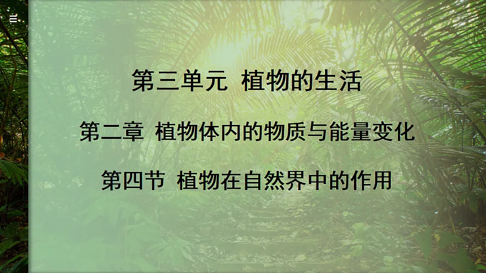 17815212第1页