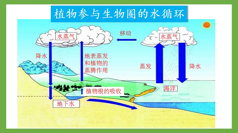17815212第7页