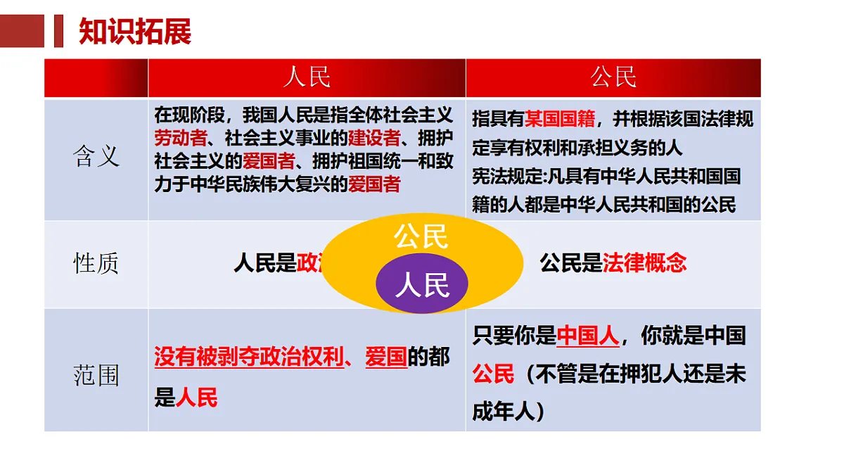 17815295第8页