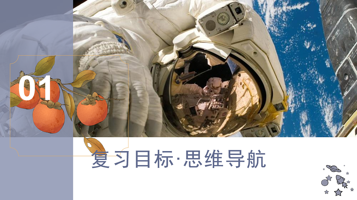 17815305第3页
