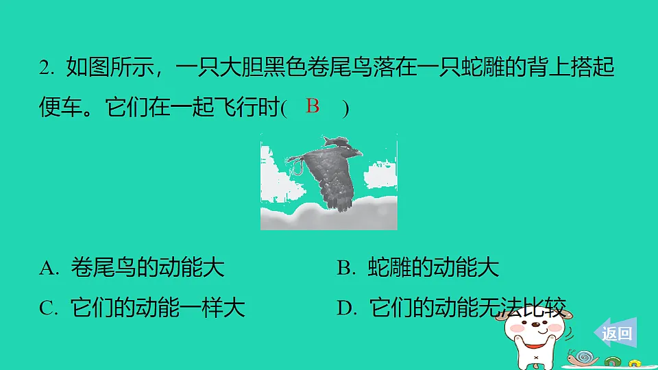 17816522第3页