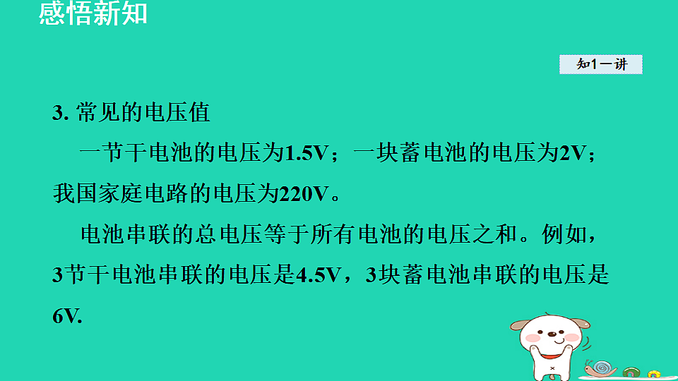 17816533第4页