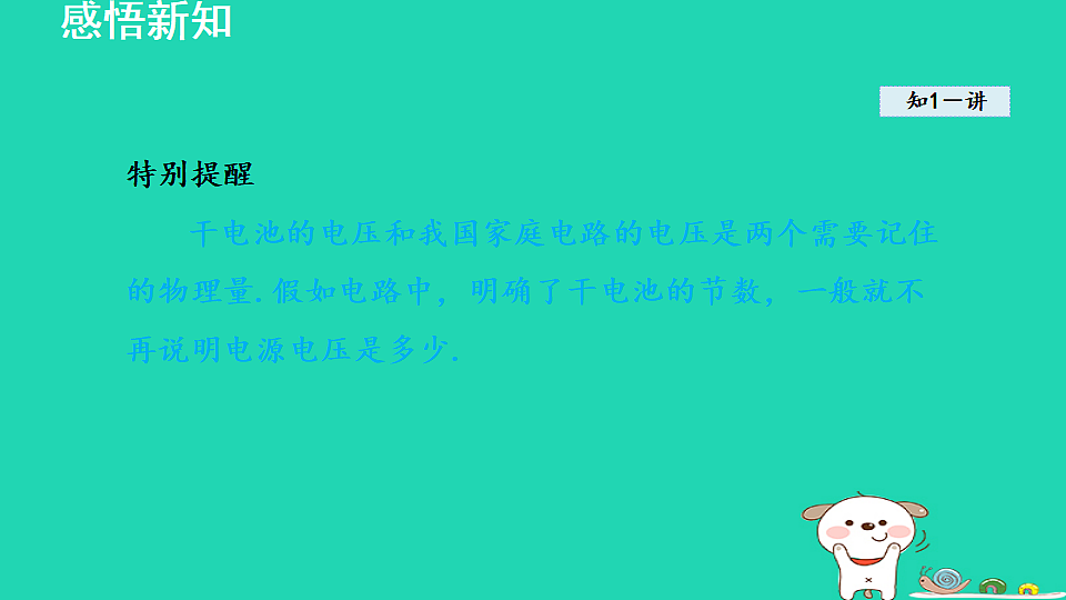 17816533第5页