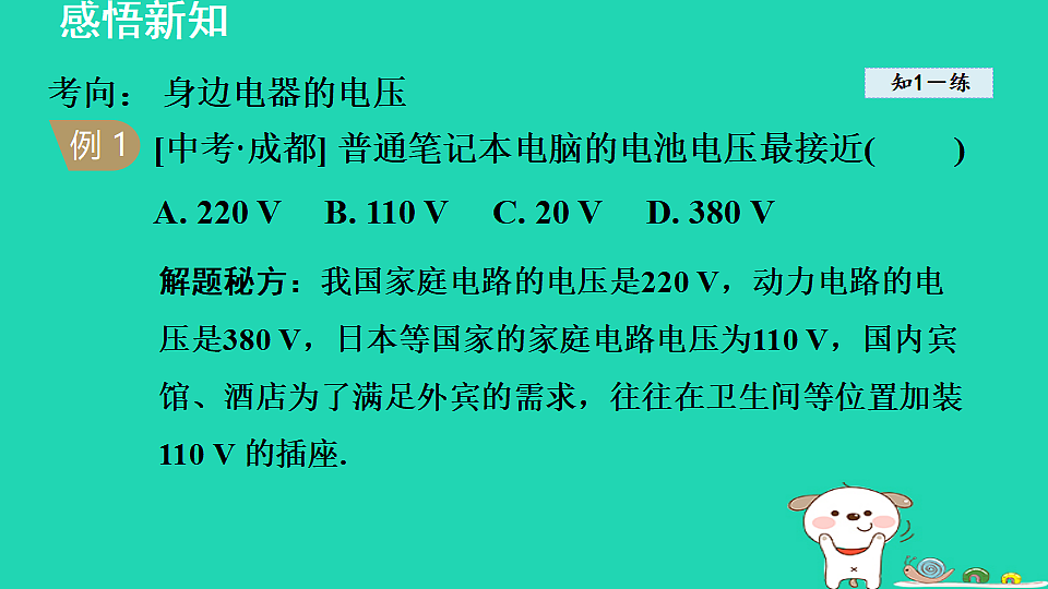17816533第6页