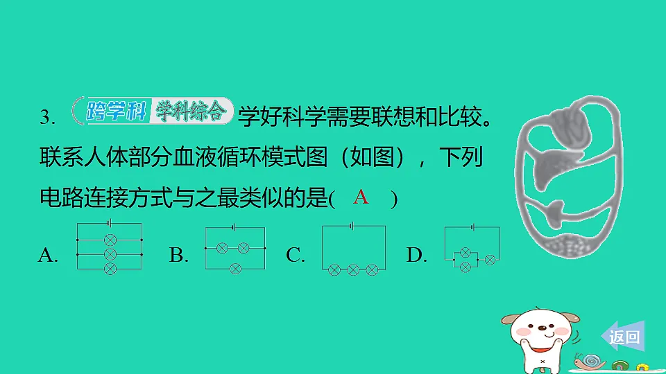 17816536第5页