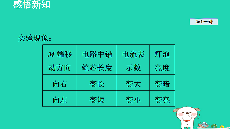 17816541第5页