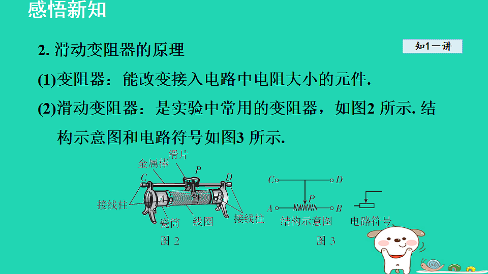 17816541第8页