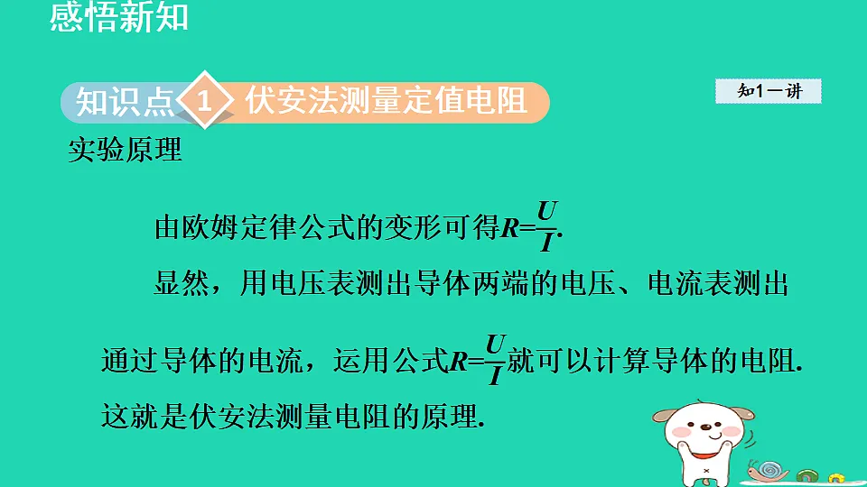 17816543第3页