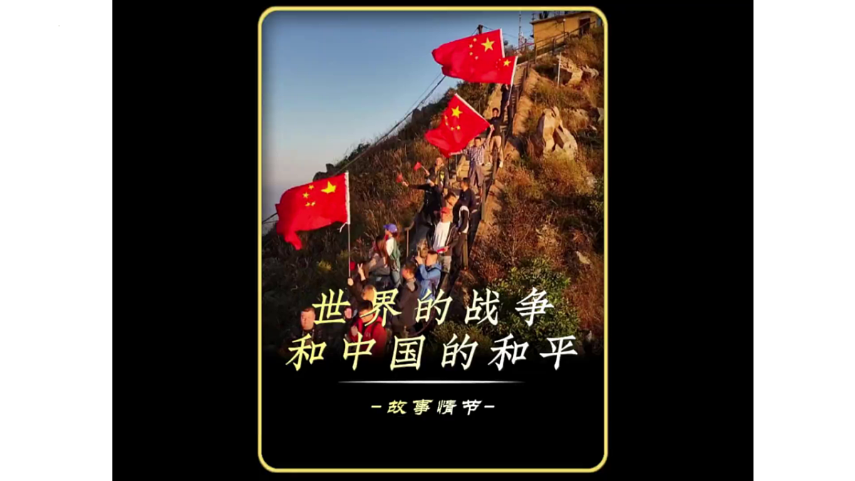 17816813第6页