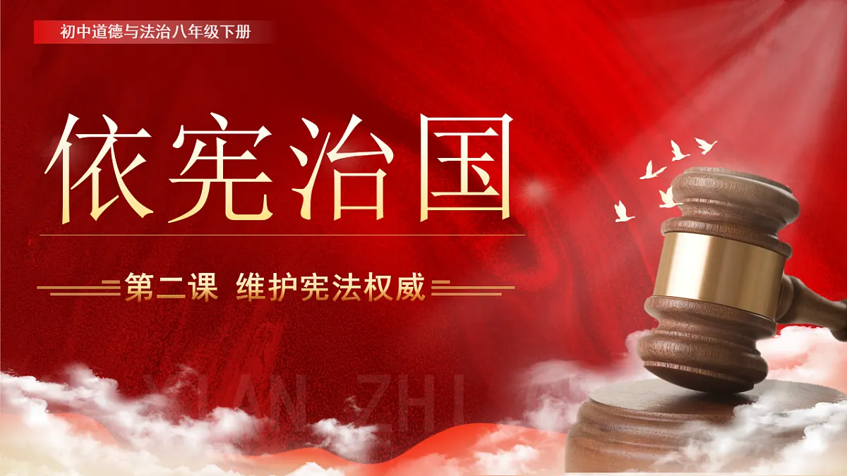 17816867第2页