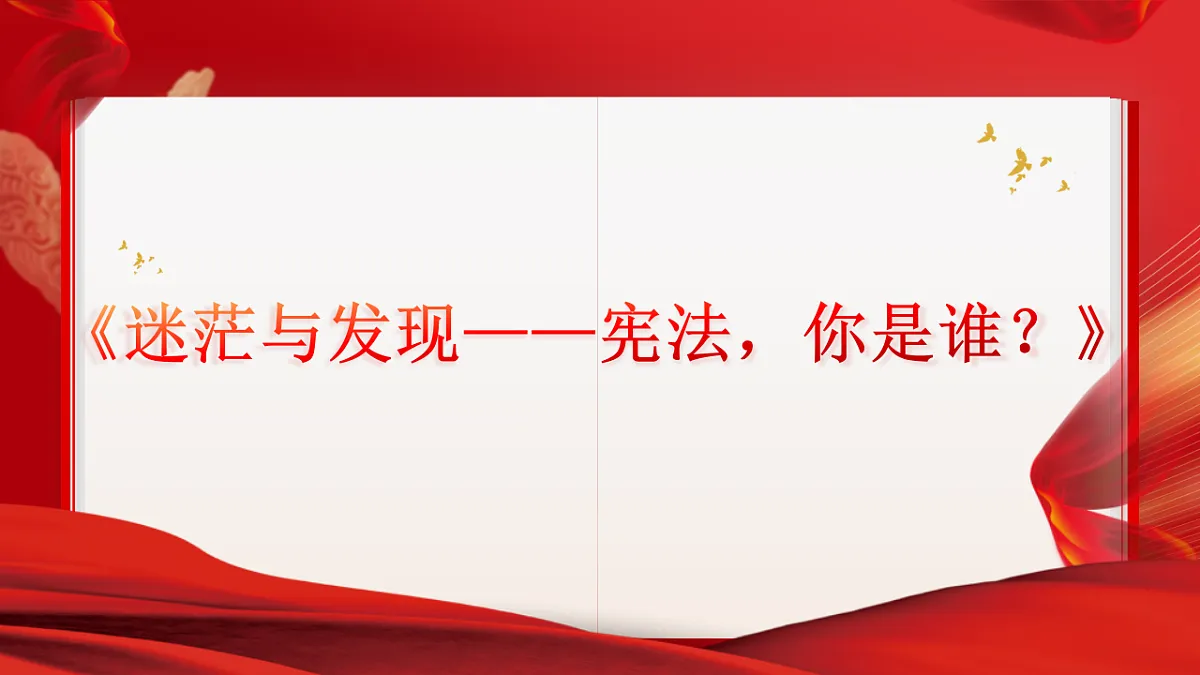 17816869第5页