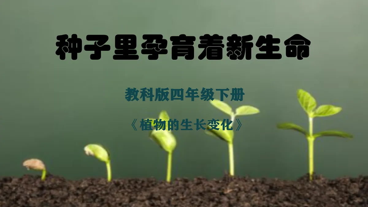 1.1《种子里孕育着新生命》课件第1页