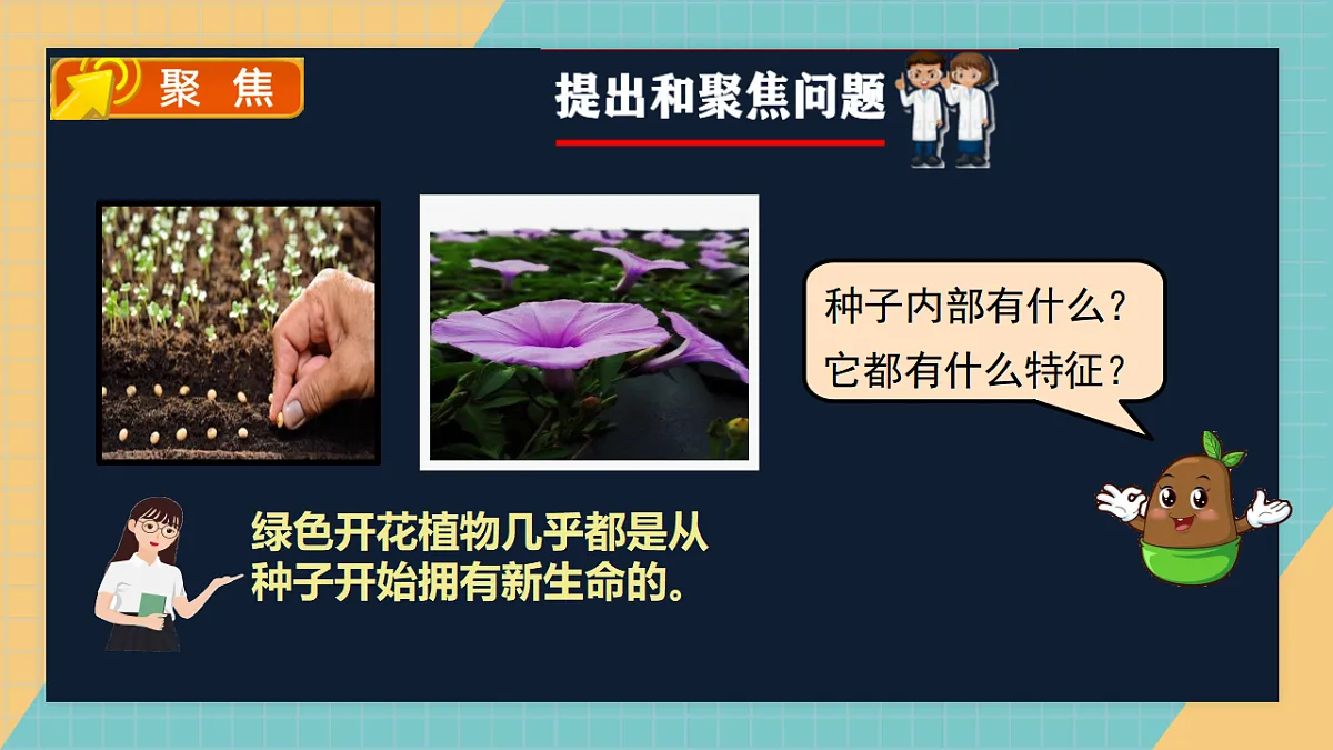 1.1《种子里孕育着新生命》课件第2页