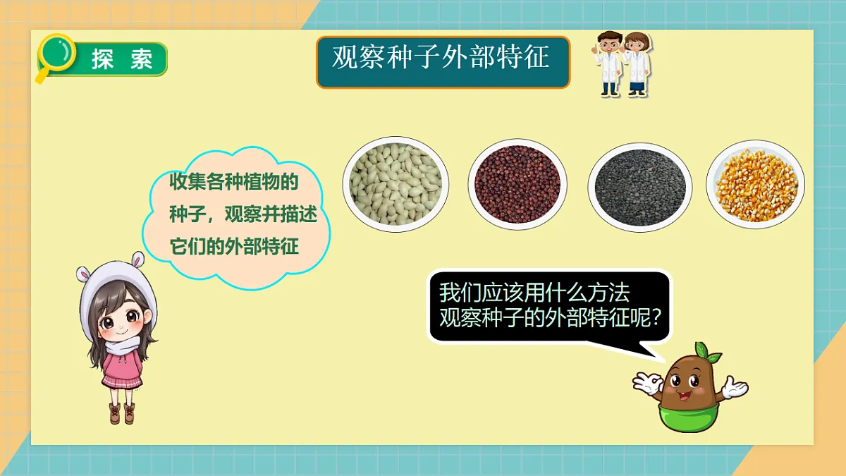 1.1《种子里孕育着新生命》课件第3页