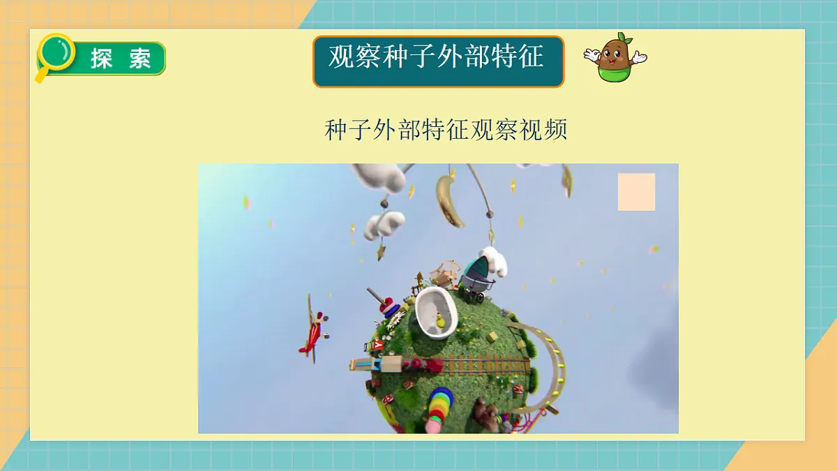 1.1《种子里孕育着新生命》课件第5页