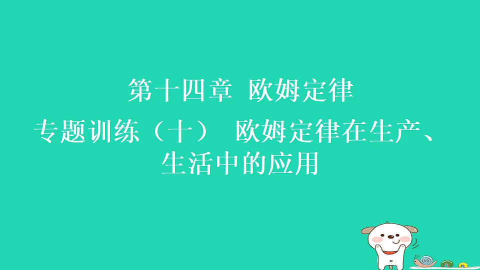 17817310第1页