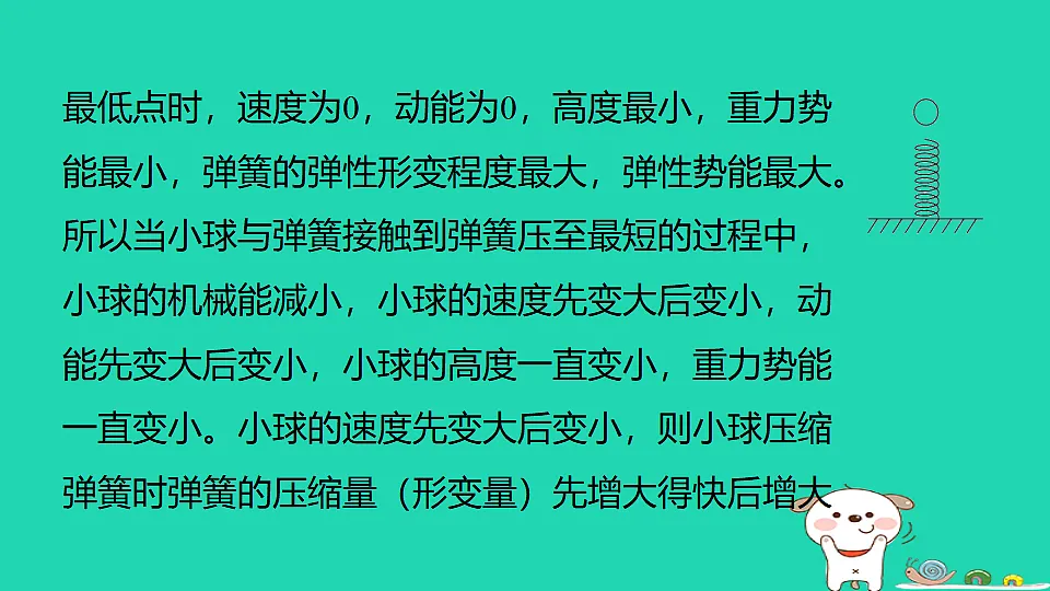 17817325第5页